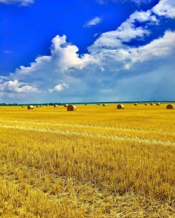 З Днем Незалежнсті, Україно! - ЖК София