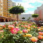 Покупка квартиры в Киеве - ЖК София